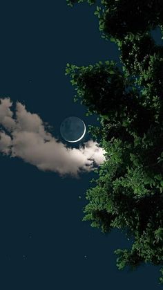 the moon is shining in the night sky above some clouds and trees with green leaves