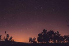 the night sky is filled with stars and silhouettes of trees in the foreground