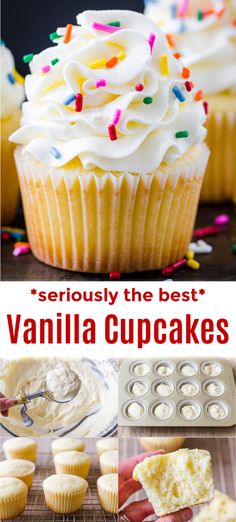 vanilla cupcakes with white frosting and sprinkles on the top