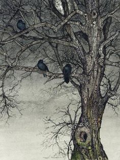 birds are sitting in the branches of a tree