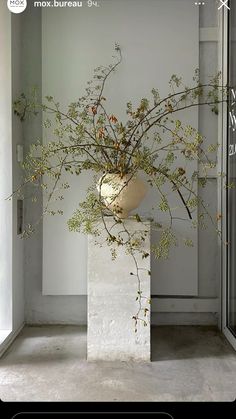 a vase filled with flowers sitting on top of a white pedestal