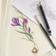 some watercolors and pencils are laying on top of paper with flowers in them