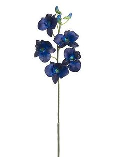 a tall blue flower on a white background