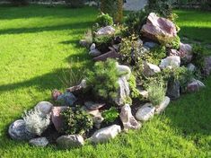 there is a rock garden in the grass