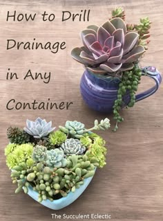 how to drill drainage in any container with succulents and plants inside it