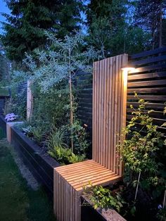 a wooden bench sitting in the middle of a lush green garden at night with lights on