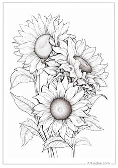 a black and white drawing of sunflowers