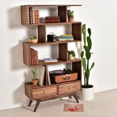 a wooden shelf filled with books next to a potted cacti and a plant