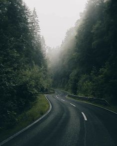 an empty road surrounded by trees and fog