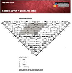 the diagram shows how to make a crochet pattern for an afghan shawl