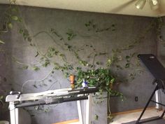 a room with plants growing on the wall and a piano in the foreground,