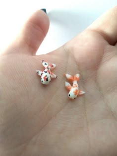 two small orange and white koi fish on someone's palm