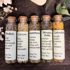 "Green Witch Set of 5 Herbs We've put together a set of 5 herbs that are perfect for any green witch, hedge witch, or anyone with an herbal inclination. Calendula - strength, intuition, protection, love, abundance. Stinging Nettle - protection, energizes spells, inner strength, spiritual healing, drives out toxicity. Mullein - courage, protection, spiritual strength, dream work, abundance. Hawthorn - blessings, hedge work, journey work, protection, emotional healing. Yarrow - healing, protection Apothecary Set Up, List Of Herbs For Witchcraft, Witchy Flowers, Charmed House, Witchy Apothecary, Apothecary Herbs, Witchy Spells, Hibiscus Drink, Folklore Mythology