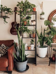 a living room filled with lots of potted plants next to a brown leather couch