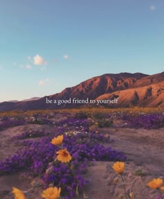 a field full of purple flowers with a quote above it that says, be a good friend yourself