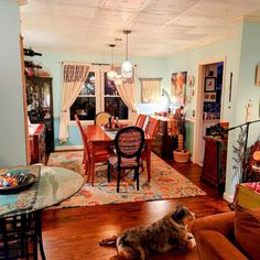 a dog laying on the floor in a living room with blue walls and wooden floors