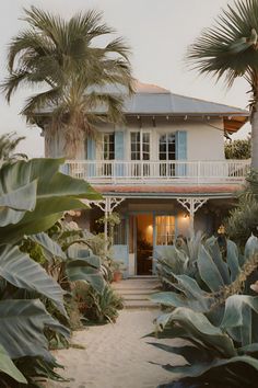 a house with palm trees in front of it