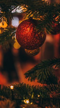 a red ornament hanging from the top of a christmas tree with lights in the background