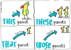 four different types of parrots with the words, this parrot, and those parrots