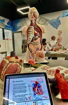 a laptop computer sitting on top of a table next to a model of the human body