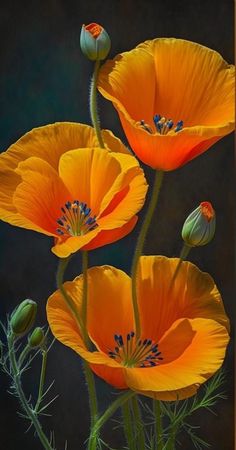 three orange flowers with green stems in front of a black background and yellow border around the edges