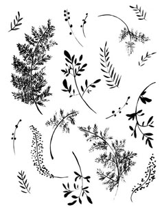 various plants and leaves are drawn in black ink