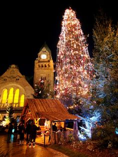 people are standing in front of a lit christmas tree