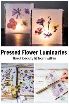 pressed flower luminaries are the perfect way to light up your home