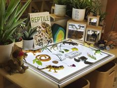 a table topped with lots of plants and pictures on it's sides next to a stuffed animal