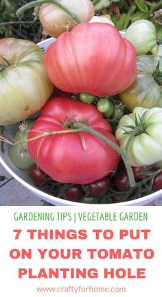 a bowl full of tomatoes and other vegetables with the title gardening tips vegetable garden 7 things to put on your tomato planting hole