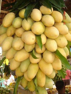 a bunch of mangoes hanging from a tree in a market area with other fruit on display