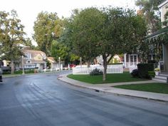 an empty street with houses and trees on both sides, in the background is a white picket fence