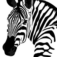 a zebra's head is shown in black and white, with stripes on it