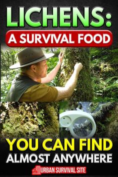 an advertisement for the lichens survival food program, with images of people in trees and