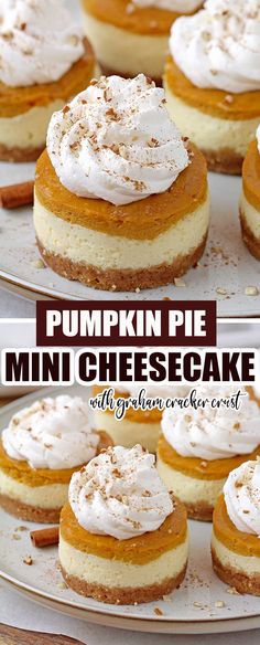 pumpkin pie mini cheesecakes with whipped cream on top are ready to be eaten