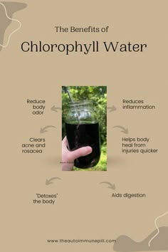 Benefits Of Chlorophyll, Chlorophyll Benefits, Chlorophyll Water, Body And Health, Body Inflammation, Feminine Health, Body Healing, Health Knowledge