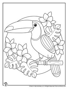 a toucan bird sitting on a branch with flowers