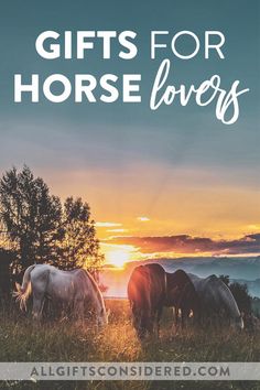 horses grazing in the grass at sunset with text overlay top 25 gifts for horse lovers