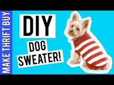 a dog wearing a sweater with the words, diy dog sweater on it's chest