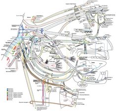 the wiring diagram for an old model train set, with all its tracks and layouts