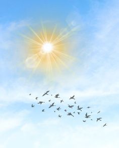 a flock of birds flying across a blue sky with the sun in the background,