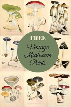 vintage mushroom prints with the words free