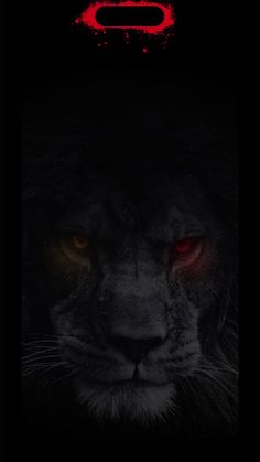 a black and red poster with a lion's face on the left side of it