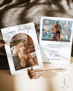 Pet Holiday Christmas Card Template Happy Pawlidays Dog Christmas Card