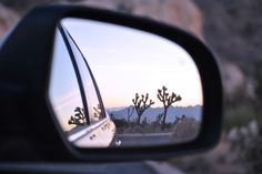 a side view mirror on a car with cactus trees in the back ground and mountains in the background