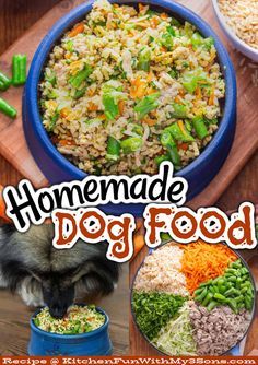 the cover of homemade dog food