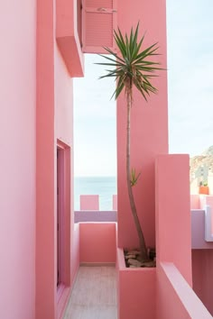 a pink building with a palm tree in the corner and ocean in the back ground