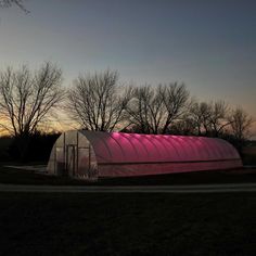 a pink tent sitting on top of a lush green field next to a forest at night