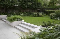 an outdoor garden with steps and plants