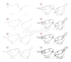 how to draw birds step by step for children and adults royalty illustration on white background